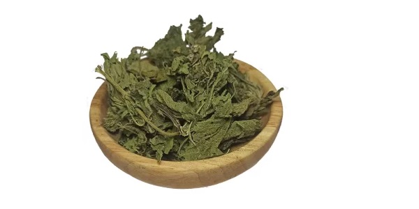 تصویر 5 از قیمت گیاه گزنه خشک شده با کیفیت ارزان + خرید عمده
