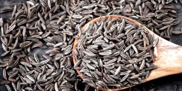 تصویر 1 از قیمت خرید زیره سیاه ریز + فروش ویژه