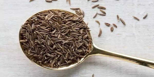 تصویر 4 از قیمت خرید زیره سیاه ریز + فروش ویژه