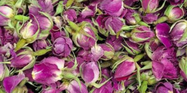تصویر 1 از خرید و فروش غنچه گل محمدی خشک با شرایط فوق العاده