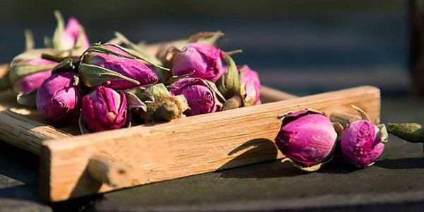 تصویر 2 از قیمت خرید غنچه گل محمدی داراب با فروش عمده