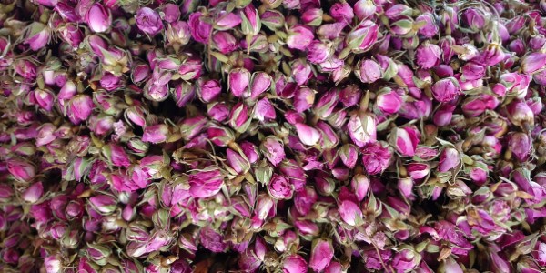 تصویر 4 از قیمت خرید غنچه گل محمدی داراب با فروش عمده