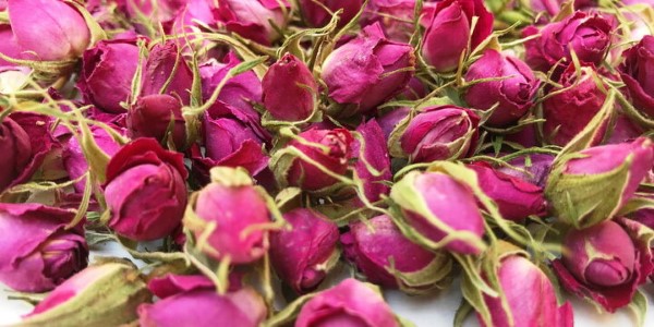 تصویر 1 از قیمت خرید غنچه گل محمدی داراب با فروش عمده