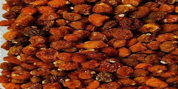 تصویر 1 از قیمت خرید میوه خشک فیسالیس + فروش ویژه