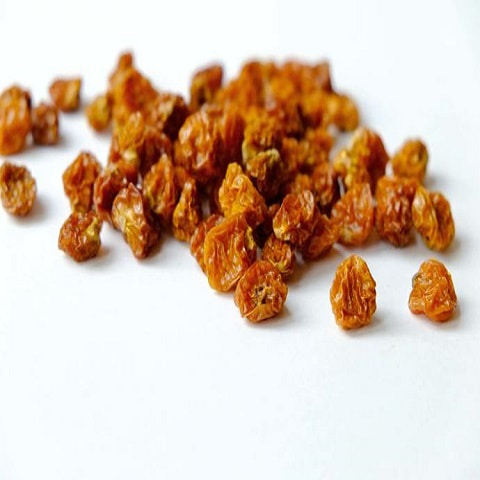قیمت خرید میوه خشک فیسالیس + فروش ویژه