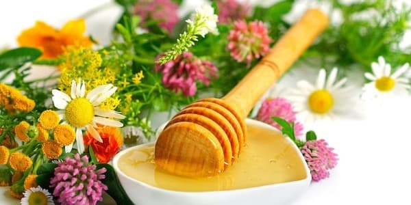 تصویر 2 از خرید و قیمت عسل چهل گیاه خالص + فروش عمده