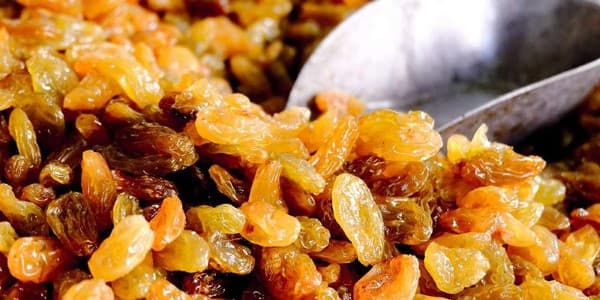 تصویر 1 از قیمت کشمش طلایی تاکستان با کیفیت ارزان + خرید عمده