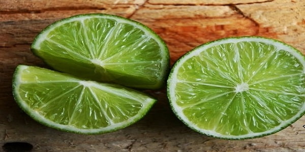 تصویر 1 از قیمت خرید لیمو ترش کوچک با فروش عمده