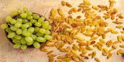تصویر 2 از خرید و قیمت کشمش سبز قلمی + فروش صادراتی