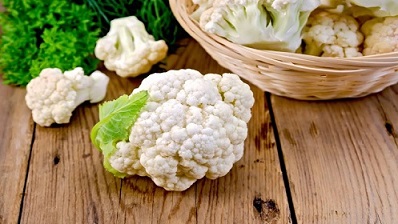 تصویر 2 از قیمت خرید گل کلم سفید + فروش ویژه