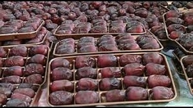 تصویر 4 از خرید و فروش خرما رطب بم با شرایط فوق العاده