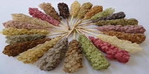 تصویر 1 از خرید نبات رنگی چوبی + قیمت فروش استثنایی
