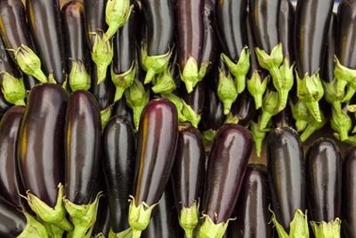 تصویر 5 از قیمت خرید بادمجان قلمی صادراتی + فروش ویژه