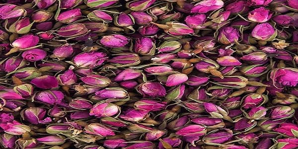 تصویر 5 از قیمت خرید غنچه گل محمدی درجه یک + فروش ویژه