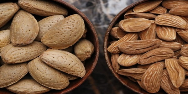 تصویر 3 از قیمت خرید بادام سنگی مامایی + فروش ویژه