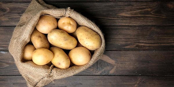تصویر 4 از قیمت خرید سیب زمینی رقم اسپریت با فروش عمده