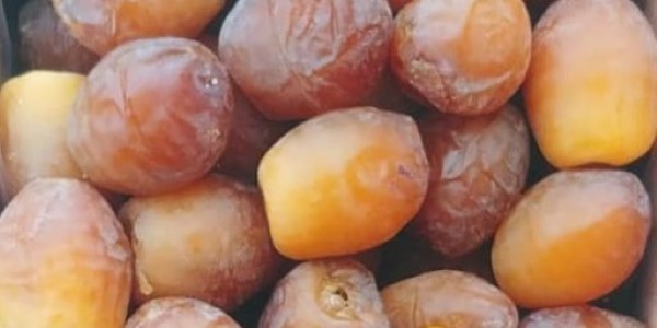 تصویر 4 از خرید و فروش خرما رطب عسلی با شرایط فوق العاده