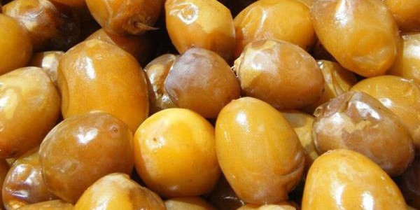 تصویر 5 از خرید و فروش خرما رطب عسلی با شرایط فوق العاده