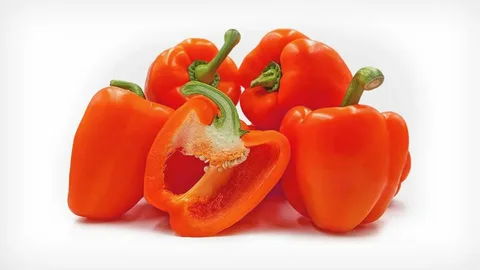 تصویر 4 از فروش فلفل دلمه ای نارنجی + قیمت خرید به صرفه