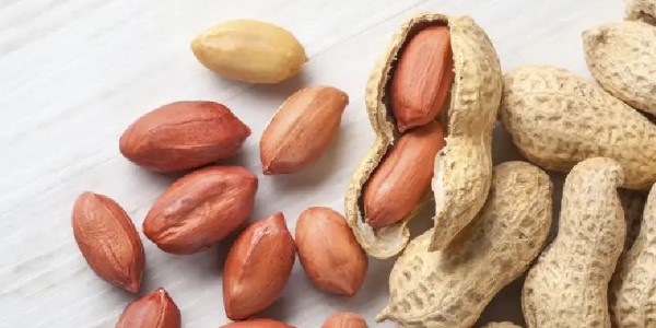 تصویر 1 از قیمت بادام زمینی در ایران + خرید باور نکردنی