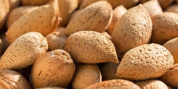 تصویر 2 از خرید و فروش بادام درختی با پوست با شرایط فوق العاده