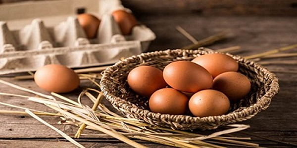 تصویر 1 از قیمت تخم مرغ محلی + خرید باور نکردنی