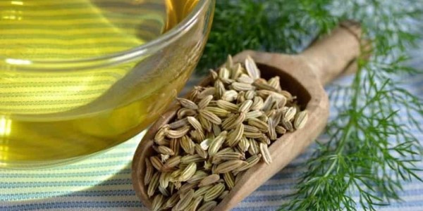 تصویر 3 از قیمت خرید عرق گیاه رازیانه + فروش ویژه