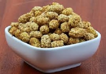 تصویر 3 از قیمت خرید توت سفید خشک + فروش ویژه