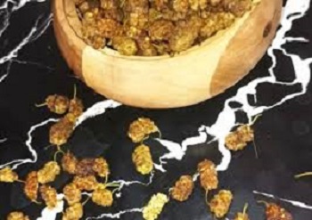 تصویر 5 از قیمت خرید توت سفید خشک + فروش ویژه
