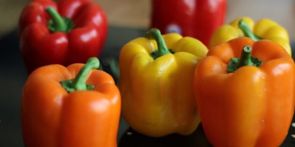 تصویر 1 از فروش فلفل دلمه ای رنگی + قیمت خرید به صرفه