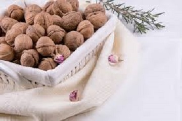 تصویر 4 از خرید و فروش گردو پوست کاغذی با شرایط فوق العاده