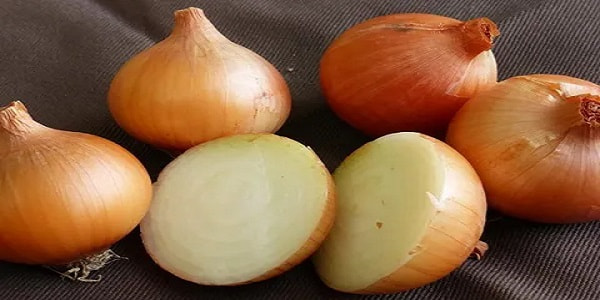 تصویر 2 از خرید و قیمت پیاز زرد جیرفت + فروش عمده