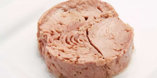 تصویر 5 از قیمت خرید تن ماهی نگین چابهار + فروش ویژه