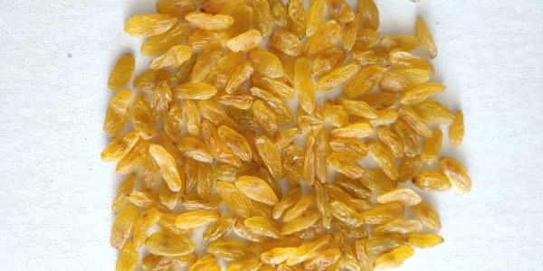 تصویر 4 از قیمت کشمش صادراتی کاشمر + خرید باور نکردنی