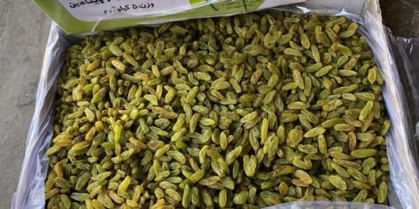 تصویر 3 از قیمت کشمش صادراتی کاشمر + خرید باور نکردنی