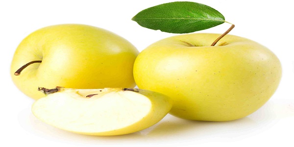 تصویر 5 از قیمت خرید سیب گلاب زرد با فروش عمده