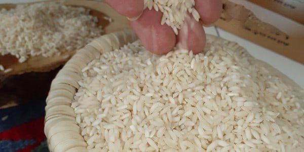 تصویر 1 از قیمت خرید برنج چمپا فوق ممتاز عمده به صرفه و ارزان