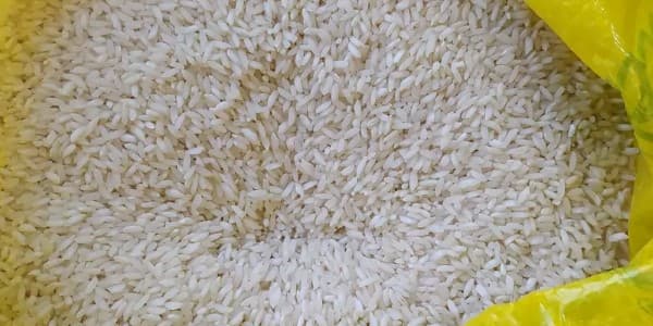 تصویر 3 از قیمت خرید برنج چمپا فوق ممتاز عمده به صرفه و ارزان