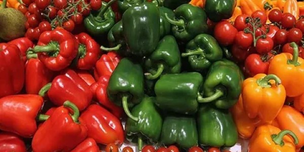 تصویر 5 از قیمت فلفل دلمه ای رنگی با کیفیت ارزان + خرید عمده