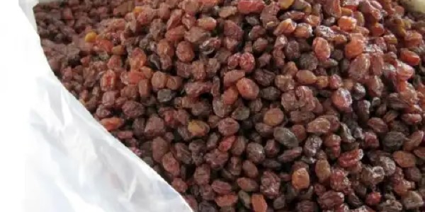 تصویر 4 از قیمت کشمش پلویی فله با کیفیت ارزان + خرید عمده