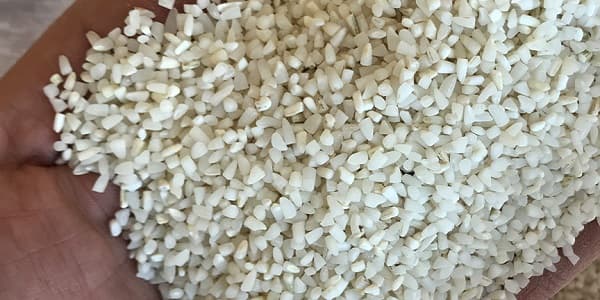تصویر 1 از خرید و قیمت برنج نیم دانه عنبر بو + فروش عمده