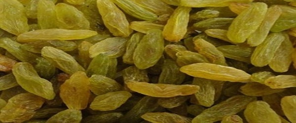 تصویر 4 از خرید و فروش کشمش سبز قلمی با شرایط فوق العاده