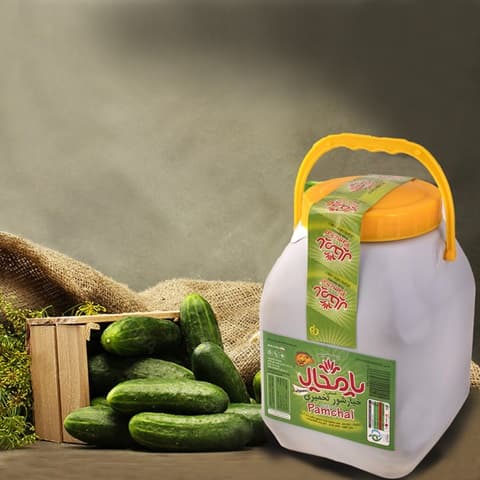 قیمت خیارشور تخمیری پامچال