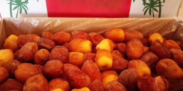 تصویر 1 از فروش خرمای مرداسنگ جیرفت + قیمت خرید به صرفه