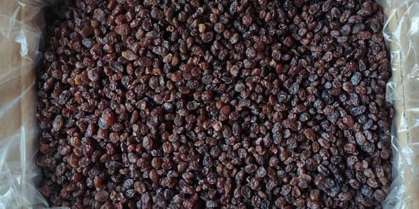 تصویر 1 از خرید کشمش پلویی آفتابی + قیمت فروش استثنایی