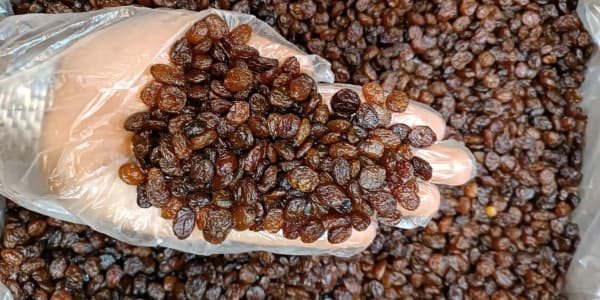 تصویر 3 از کشمش پلویی سایه خشک تازه‌ چین با کیفیت ممتاز
