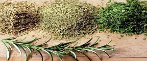 تصویر 5 از خرید و قیمت  نعنا خشک درجه یک  + فروش عمده