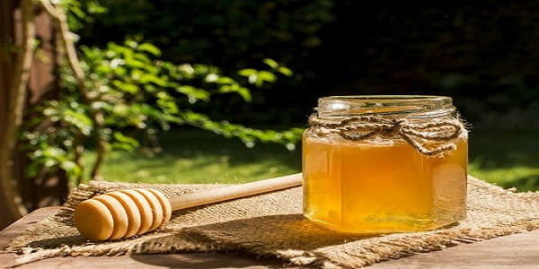 تصویر 3 از خرید و قیمت عسل بهار نارنج اصل + فروش صادراتی