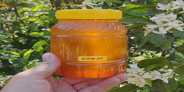 تصویر 5 از خرید و قیمت عسل بهار نارنج اصل + فروش صادراتی