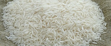 تصویر 3 از خرید و قیمت  برنج عنبر بو امید  + فروش عمده